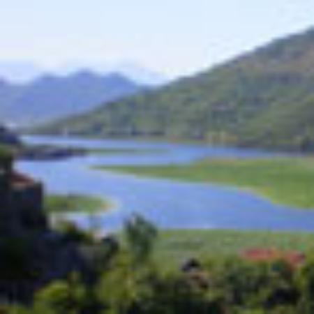 Seraphia Inspired Cuisine